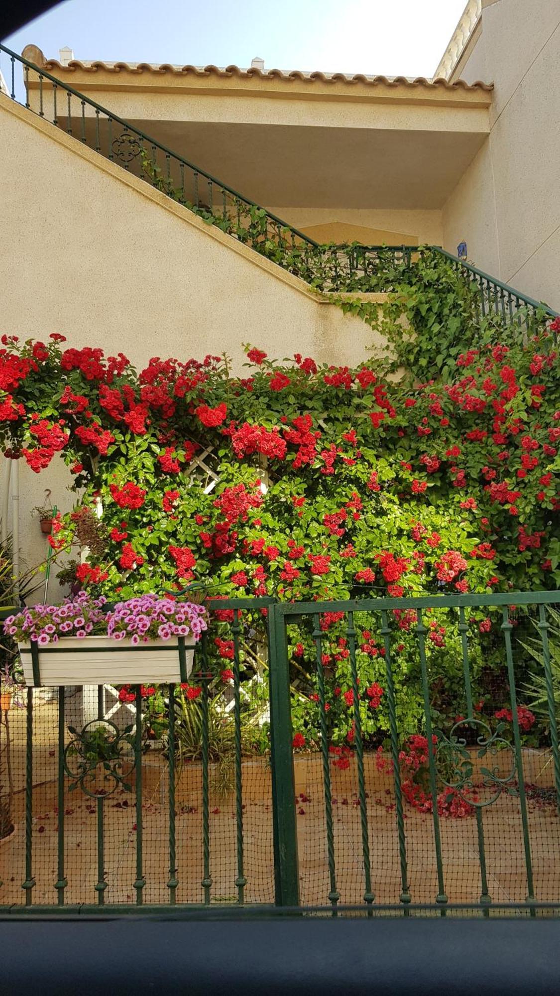 Apartamento Montegolf Con Terraza Privada Los Dolses 외부 사진
